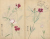 Sketchbook Pl.059 (1826-1840)