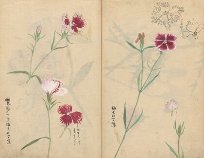 Sketchbook Pl.059 (1826-1840)