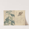 Sketchbook Pl.070 (1826-1840) by Ariyoshi Kondo