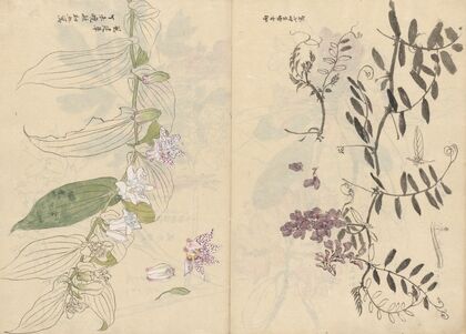 Sketchbook Pl.072 (1826-1840)