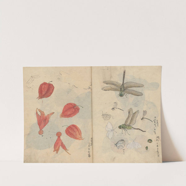 Sketchbook Pl.076 (1826-1840) by Ariyoshi Kondo