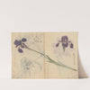 Sketchbook Pl.085 (1826-1840) by Ariyoshi Kondo