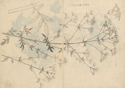 Sketchbook Pl.087 (1826-1840)