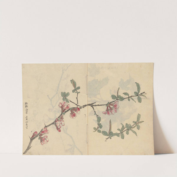 Sketchbook Pl.096 (1826-1840) by Ariyoshi Kondo