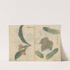Sketchbook Pl.101 (1826-1840) by Ariyoshi Kondo
