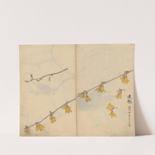 Sketchbook Pl.104 (1826-1840) by Ariyoshi Kondo
