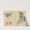 Sketchbook Pl.106 (1826-1840) by Ariyoshi Kondo