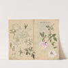 Sketchbook Pl.107 (1826-1840) by Ariyoshi Kondo