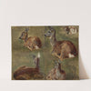 Sketches of fawns by Maria Klass-Kazanowska