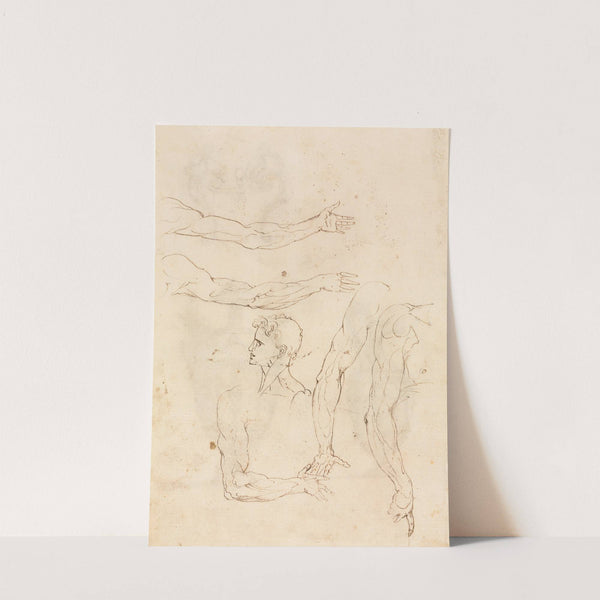 Sketches of Five Arms and a Head (verso) by Luzio Romano