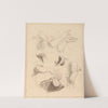 Sketches of Hands. by Hamlet Winstanley