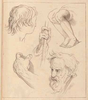 Sketches of Hands, Heads, and Legs