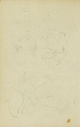 Sketches of head and hind legs of a lion