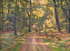 Skovvej ved Dyrnæs (1915)