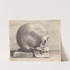 Skull in profile to right (1645) by Wenceslaus Hollar