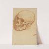 Skull Study by Milan Thomka Mitrovský