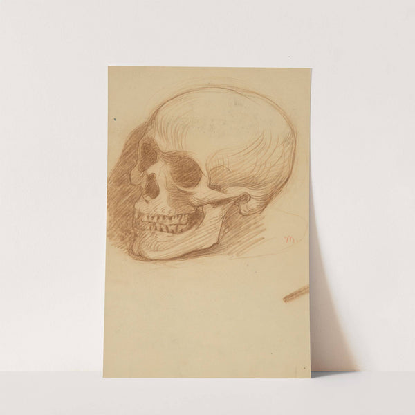 Skull Study by Milan Thomka Mitrovský