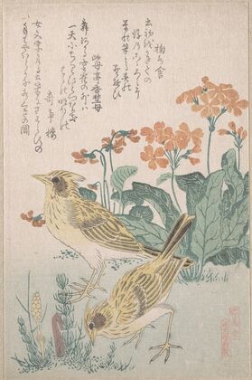 Skylarks and Primroses (ca. 1805–10)