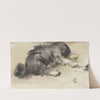 Slapende hond, van achteren gezien (1841 - 1857) by Johan Daniël Koelman