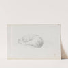 Sleeping cat (between 1855 and 1857) by Adolph Tidemand