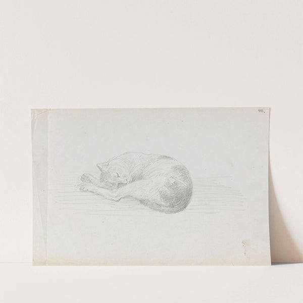 Sleeping cat (between 1855 and 1857) by Adolph Tidemand