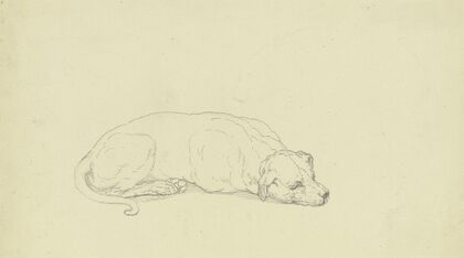 Sleeping dog 2