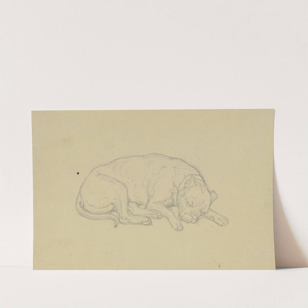 Sleeping dog by Ferdinand Fellner
