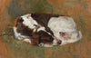 Sleeping Dog (before 1902)