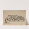 Sleeping dog (1900-1906) by Julian Falat