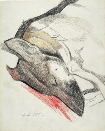 Sleeping Dog