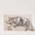 Sleeping Pig by James Ward
