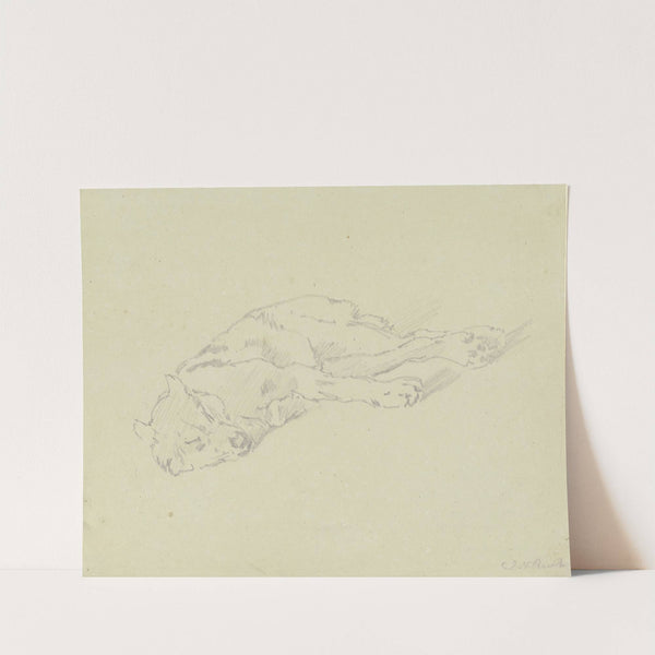 Sleeping wolf by Johann Nepomuk Rauch