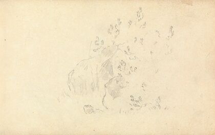 Slight Sketch of Rocks and Leaves