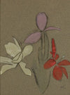 Small Lilies (1942)