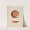 Small Pie Plate by Carl Buergerniss