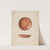 Small Pie Plate by Carl Buergerniss