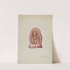 Small Statue of Guadalupe Cut in Stone by Majel G. Claflin