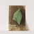 Smaller Spotted Beach Leaf Edge Caterpillar by Emma Beach Thayer