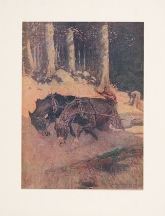 Snaking logs to the skidway (1906)
