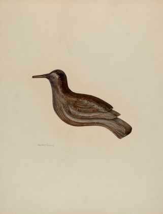 Snipe