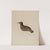 Snipe (1935-1942) by Hester Duany