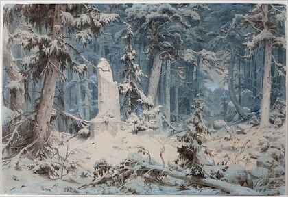 Snowy Forest