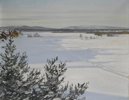 Snowy landscape