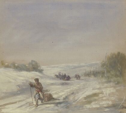 Snowy landscape