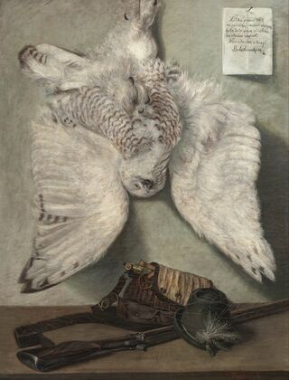 Snowy Owl — size preview