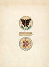 Snuff Box