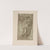 Sodoma - The blessed virgin with group of women by P. &amp; D. Colnaghi