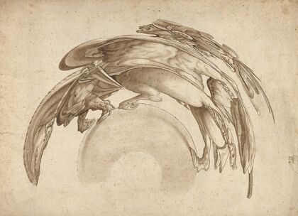 Soldier on Horseback in Catoptric Anamorphosis (after Hendrick Goltzius) — size preview