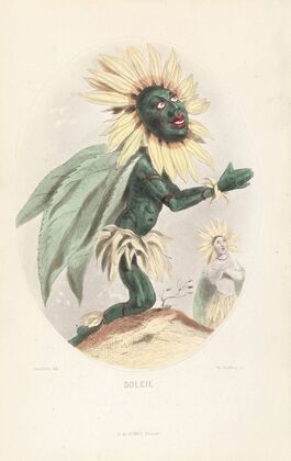 Soleil