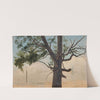 Solitary tree by Chrystian Breslauer
